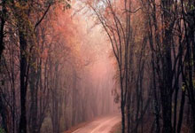 111qq.cn（一一一QQ中国）@域名whios查询-网站信息查询-服务器ip查询结果