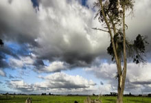 78 返利 APP  购物返利_78 专属