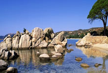 Fifa14SuperSkillMovesAPP  游戏辅助_高级技巧